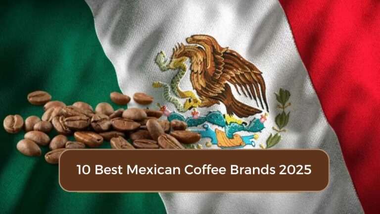 Best Mexican coffee brands